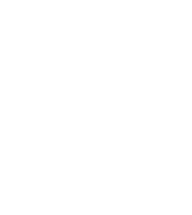 Silver Fibre Protection